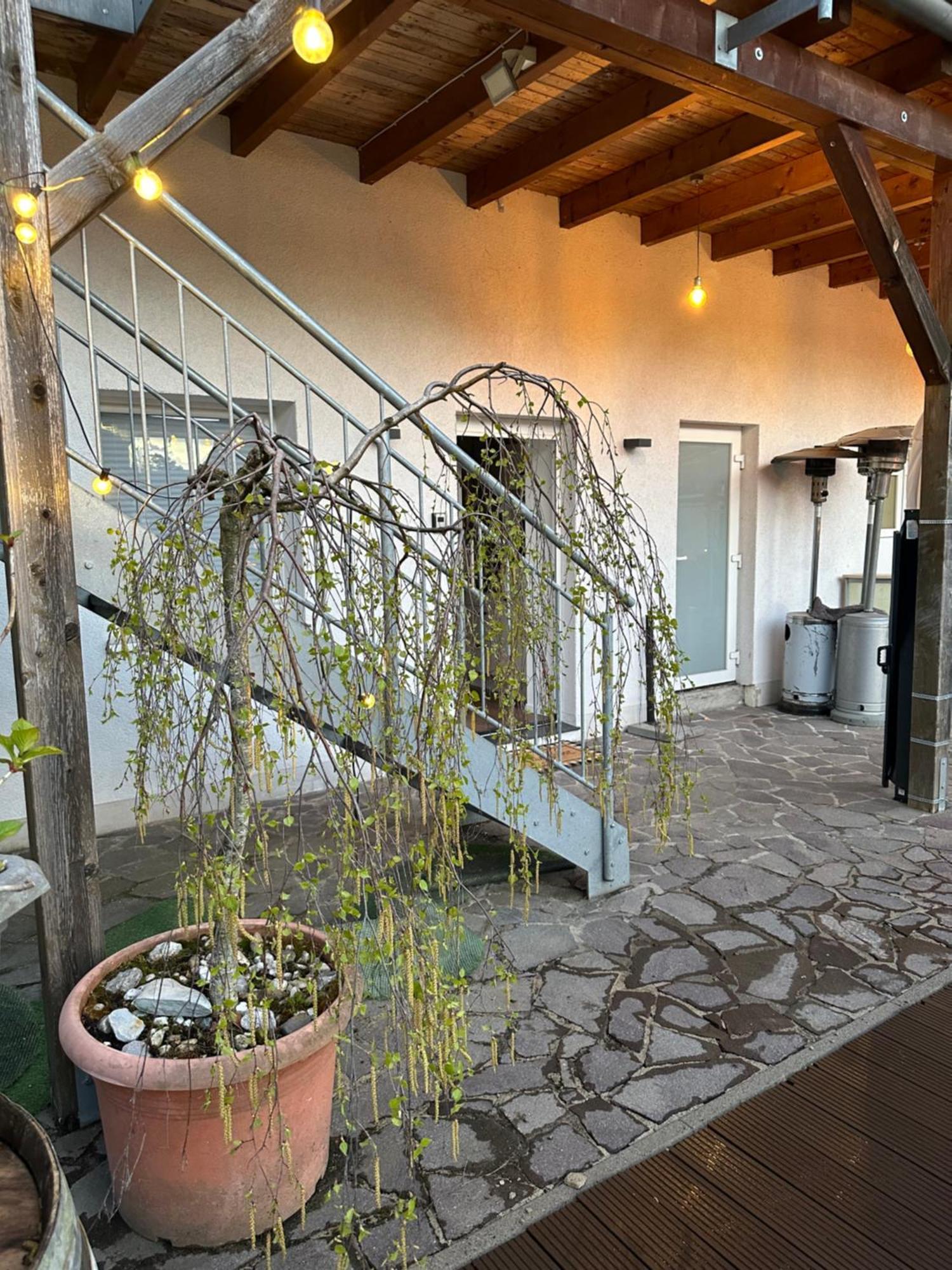 Mola Apartments-Charmante Ferienwohnung Im Herdecke Zentrum Fuer 3 Personen-Grosse Dachterrasse-Grill-Gratis Parken-Wlan Εξωτερικό φωτογραφία